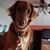 Jackie Deitrich's profile image