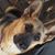 Jenn Jenkins Humphrey's profile image