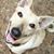 Kelly Schlesinger's profile image