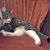Ati Kheiry's profile image