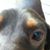 Mark Hill's profile image
