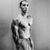Sy Pires's profile image