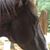Darlene Snay's profile image
