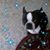 Kathleen Vesco's profile image