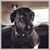 Christopher Craig's profile image