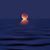 Jane Fisher Shaddix's profile image