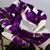 Christy Serenity's profile image