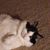 Stacey Trost's profile image