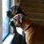 Melissa Murphy Foster's profile image
