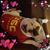 Margaret Lopez's profile image