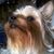 Connie Huntington's profile image