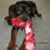Barbara Moody's profile image