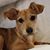 Stephanie Bunch's profile image
