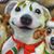David Yetman's profile image