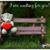 Aashi Aashi's profile image