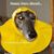 Marye Rollo's profile image
