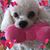 Nicole Stamper's profile image