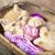 Marsha Kostoff's profile image