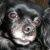 Madelyn Russell's profile image