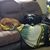 Sandi Evert Hanson's profile image