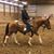 Debbie Herbeck's profile image