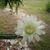 Brenda Jones's profile image