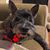 Tracy Waxon's profile image