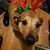 Sandy Jewel's profile image
