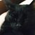Sarah Priebe-Leibrock's profile image