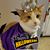 Elizabeth Eslinger's profile image