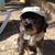Michael Roloff's profile image