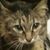 Kris Straatmann Schneider's profile image