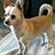 Deb Bobinski's profile image