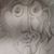 Tom Pellegrino's profile image