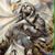Kurt Foshee's profile image