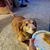 Jenny Wimble's profile image