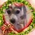 Rita Reaux's profile image