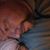 Ashley Lea's profile image