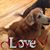 Sammie Bruce Van Winkle's profile image