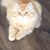 Sunny Mh's profile image