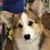 Randy Pritts's profile image