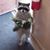 Kenna Echer Hekia's profile image