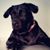 Sophia Wilson's profile image