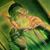 Randell Herren's profile image