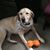 Patty Morin Burgess's profile image