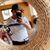 Gustavo Garcia's profile image