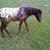 Glenda Faris's profile image