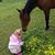 Cora Beth Baker Franklin's profile image