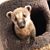 Becky Meece's profile image