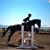 Andrea Sullivan's profile image